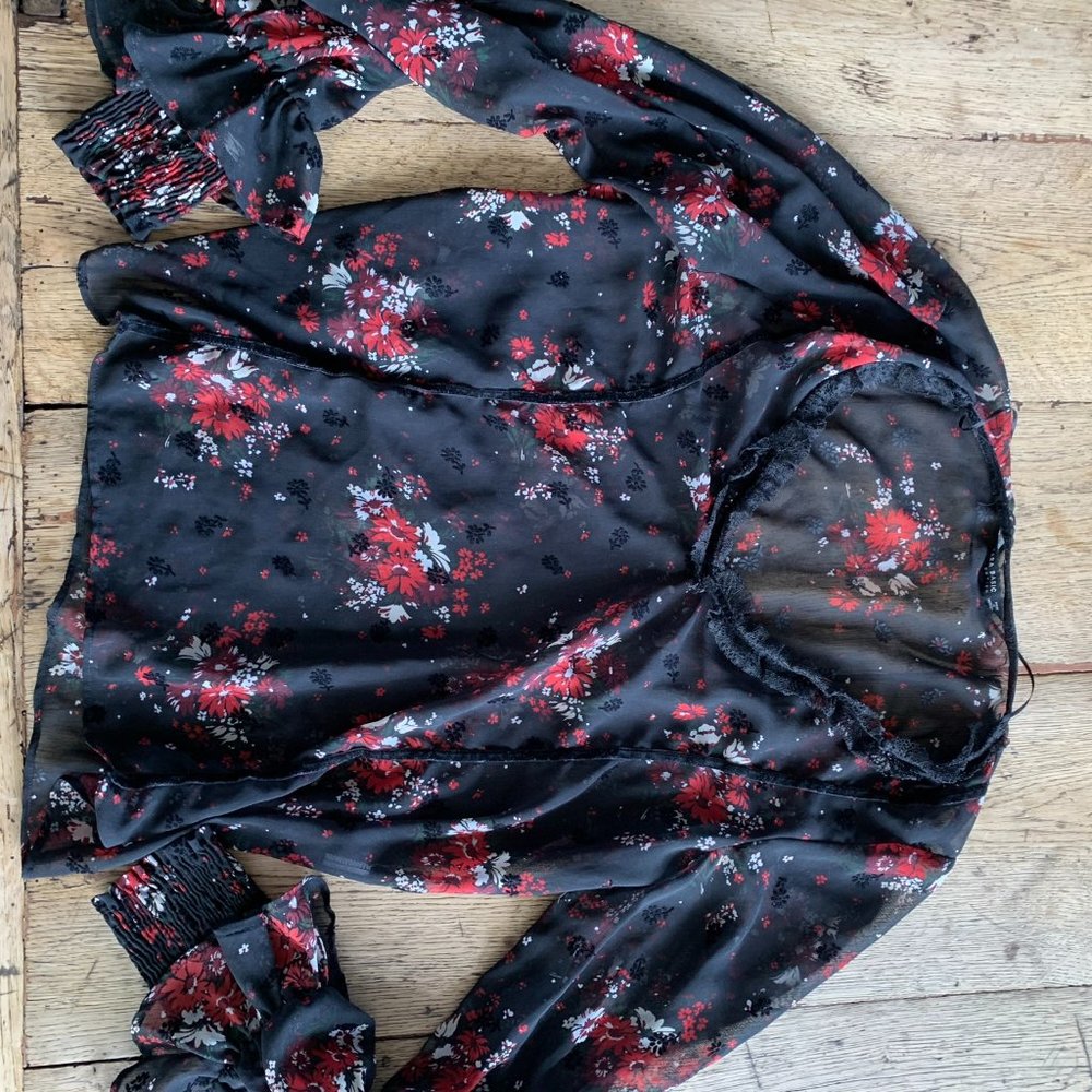 Zara Sheer Top